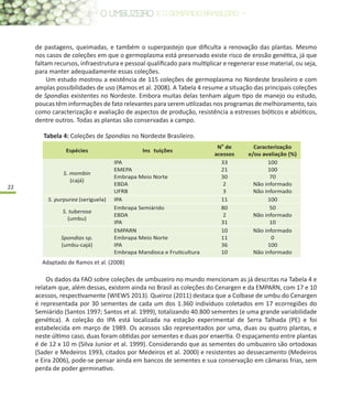 22
Os dados da FAO sobre coleções de umbuzeiro no mundo mencionam as já descritas na Tabela 4 e
relatam que, além dessas, existem ainda no Brasil as coleções do Cenargen e da EMPARN, com 17 e 10
acessos, respectivamente (WIEWS 2013). Queiroz (2011) destaca que a Colbase de umbu do Cenargen
é representada por 30 sementes de cada um dos 1.360 indivíduos coletados em 17 ecorregiões do
Semiárido (Santos 1997; Santos et al. 1999), totalizando 40.800 sementes (e uma grande variabilidade
genética). A coleção do IPA está localizada na estação experimental de Serra Talhada (PE) e foi
estabelecida em março de 1989. Os acessos são representados por uma, duas ou quatro plantas, e
neste último caso, duas foram obtidas por sementes e duas por enxertia. O espaçamento entre plantas
é de 12 x 10 m (Silva Junior et al. 1999). Considerando que as sementes do umbuzeiro são ortodoxas
(Sader e Medeiros 1993, citados por Medeiros et al. 2000) e resistentes ao dessecamento (Medeiros
e Eira 2006), pode-se pensar ainda em bancos de sementes e sua conservação em câmaras frias, sem
perda de poder germinativo.
Espécies Ins tuições
No
de
acessos
Caracterização
e/ou avaliação (%)
S. mombin
(cajá)
IPA 33 100
EMEPA 21 100
Embrapa Meio Norte 30 70
EBDA 2 Não informado
UFRB 3 Não informado
S. purpurea (seriguela) IPA 11 100
S. tuberosa
(umbu)
Embrapa Semiárido 80 50
EBDA 2 Não informado
IPA 31 10
Spondias sp.
(umbu-cajá)
EMPARN 10 Não informado
Embrapa Meio Norte 11 0
IPA 36 100
Embrapa Mandioca e FruƟcultura 10 Não informado
Adaptado de Ramos et al. (2008)
Tabela 4: Coleções de Spondias no Nordeste Brasileiro.
de pastagens, queimadas, e também o superpastejo que dificulta a renovação das plantas. Mesmo
nos casos de coleções em que o germoplasma está preservado existe risco de erosão genética, já que
faltam recursos, infraestrutura e pessoal qualificado para multiplicar e regenerar esse material, ou seja,
para manter adequadamente essas coleções.
Um estudo mostrou a existência de 115 coleções de germoplasma no Nordeste brasileiro e com
amplas possibilidades de uso (Ramos et al. 2008). A Tabela 4 resume a situação das principais coleções
de Spondias existentes no Nordeste. Embora muitas delas tenham algum tipo de manejo ou estudo,
poucas têm informações de fato relevantes para serem utilizadas nos programas de melhoramento, tais
como caracterização e avaliação de aspectos de produção, resistência a estresses bióticos e abióticos,
dentre outros. Todas as plantas são conservadas a campo.
 