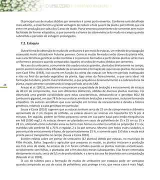 28
O principal uso de mudas obtidas por sementes é como porta-enxertos. Conforme será detalhado
mais adiante, a enxertia tem a grande vantagem de reduzir a fase juvenil da planta, permitindo que ela
entre em produção por volta dos 5 anos de idade. Porta-enxertos provenientes de sementes tem maior
facilidade de formar xilopódios, o que aumenta a chance de sobrevivência da muda no campo quando
submetida a períodos de estiagem prolongados.
7.2.	Estaquia
Outra forma de obtenção de mudas de umbuzeiro é por meio de estacas, um método de propagação
assexuado muito utilizado em fruteiras perenes. Como as mudas formadas serão clones da planta mãe,
suas características genéticas serão mantidas e os pomares formados a partir destas plantas serão mais
uniformes e precoces quando comparados àqueles oriundos de mudas obtidas por sementes.
No caso do umbuzeiro, comumente são usadas estacas grandes, plantadas diretamente no campo,
porém existem relatos sobre dificuldade de enraizamento e formação de copa nessas plantas. De acordo
com Cazé Filho (1983), isso ocorre em função da coleta das estacas ser feita em período inadequado
e não no final do período vegetativo da planta, logo antes do florescimento, o que seria ideal. Há
formação da túbera, porém mais tardiamente, o que prejudica o desenvolvimento e a sobrevivência da
planta, especialmente considerando o longo período seco do SAB.
Araujo et al. (2001), avaliaram e compararam a capacidade de brotação e enraizamento de estacas
de 40 cm de comprimento, mas com diferentes diâmetros, obtidas de diversas plantas matrizes. Foi
observada uma grande variabilidade para estas características, destacando-se o genótipo BGU 48
(umbuzeiro gigante), em que 78 % de suas estacas emitiram brotações e enraizaram, inclusive formando
xilopódios. Os autores acreditam que essa variação em termos de enraizamento é devida a fatores
genéticos, relativos a cada genótipo em particular.
Souza e Costa (2010) sugerem que as estacas tenham cerca de 25 cm de comprimento e diâmetro
aproximado de 2 cm. Depois de colhidas, as estacas devem ser imersas em hipoclorito 0,5 % por 4
minutos. Em seguida, podem ser feitos pequenos cortes em sua parte basal para então mergulha-las
em AIB (1000 mg/L). As estacas devem ser plantadas em sacos de polietileno de 15 x 25 cm ou 15 x
28 cm, utilizando como substrato areia ou barro mais húmus ou esterco curtido na proporção 2:1 v/v,
mantidas sob sombrite 50 a 70 % e regadas 2 a 3x por semana. Mesmo com todos esses cuidados, o
percentual de enraizamento é baixo, de aproximadamente 25 %, e somente após 150 dias a muda está
pronta para o transplantio no campo (Souza e Costa 2010).
Existem relatos sobre um pomar de umbuzeiro (12 plantas) obtido por estacas, no município de
Pilão Arcado, Bahia. Segundo o agricultor que preparou as mudas, as plantas iniciaram a produção
aos três anos de idade. As estacas de 2 m foram colhidas quando as plantas matrizes encontravam-
se totalmente sem folhas, e plantadas até o fim dos dois meses subsequentes. Elas foram enterradas
diretamente no solo, cerca de 0,5 m de profundidade, e a terra da cova foi devolvida sem compactação
(Macedo et al. 2003).
O uso de tubetes para a formação de mudas de umbuzeiro por estaquia pode ser vantajoso
quando comparado ao uso de sacos de polietileno, pois protege a raiz, que nesse caso é mais frágil,
 