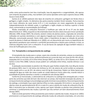 30
umbu como porta-enxertos tem boa cicatrização, taxa de pegamento e congenialidade, não apenas
com enxertos do próprio umbu, mas também com outras Spondias como cajá e cajarana (Souza 1998;
Souza e Costa 2010).
Gomes et al. (2010) avaliaram dois tipos de enxertia em umbuzeiro: garfagem em fenda cheia e
garfagem a inglês simples. Os diâmetros dos porta-enxertos também foram testados. Porta-enxertos
com maior diâmetro de caule (entre 0,75 e 1 cm) resultaram em maior pegamento da enxertia,
independentemente do método usado, e a garfagem a inglês simples se mostrou superior à fenda
cheia, contrariando as recomendações da Embrapa.
Mudas enxertadas de umbuzeiro florescem e frutificam por volta do 4º ou 5º ano de idade
(Nascimento et al. 1993), enquanto as não enxertadas levam de oito a doze anos para iniciar a produção
(Mendes 1990; Araújo 2007). No entanto, existem relatos de plantas jovens, originadas de sementes
cultivadas em quintais domésticos e com alguma irrigação que iniciaram a produção aos cinco anos
(Macedo, comunicação pessoal). Outro relato sobre a importância da água na redução do período
juvenil da planta é citado por Macedo et al. (2003), em um documento que reuniu as experiências de
agricultores paraibanos que visitaram o semiárido pernambucano e baiano para conhecer, in loco, as
vivências daqueles locais com o umbuzeiro. O uso de bacias de captação de água também reduziu o
início da frutificação para cinco anos.
7.4.	Transplantio e enriquecimento da caatinga
O transplantio das mudas para o campo, sejam elas oriundas de sementes, estacas ou enxertadas,
deve ser feito no início das chuvas, preferencialmente em curvas de nível, em covas de 44 x 44 x 44 cm,
espaçadas de 6 m na linha e 8 m entre linhas (Araújo 2007), ou ainda 10 m x 10 m (Santos et al. 2005;
Santos e Lima Filho 2008). Culturas anuais podem ser cultivadas entre linhas, visando otimizar o uso
da área.
A adubação recomendada no plantio é de 250 g de super fosfato simples (SS), mais 80 g de cloreto
de potássio (KCl), mais 5 L de húmus de minhoca ou 10 L de esterco de curral curtido ou composto.
Outra opção seria o uso de 20 L de esterco mais 0,5 kg de cinzas/cova. Podem ser feitas bacias para
captação de água ao redor das covas e pode ser usada cobertura morta sobre elas, visando reduzir a
quantidade de plantas daninhas e manter a umidade do solo (Araújo 2007).
Conforme já mencionado, a sobrevivência do umbuzeiro na caatinga está ameaçada pois a maior
parte das sementes que dele derivam não retornam ao campo, não havendo renovação das plantas. O
enriquecimentodacaatingaéumaestratégiaquepodeminimizaresseproblema.Paraoenriquecimento
da caatinga, a orientação é que sejam abertas trilhas na mata, espaçadas 10 m entre si, nas quais serão
abertas covas de aproximadamente 40 cm a cada 8 m, para o plantio de mudas de umbuzeiro (Fig. 8).
Não é necessário que se desmate a área, apenas que sejam retiradas as plantas mais próximas para
minimizar o sombreamento das mudas e permitir que elas tenham um bom desenvolvimento inicial
(Araújo 2007).
Pode-se ainda aproveitar trilhas já existentes para realizar o plantio das mudas. Araujo et al. (2001)
promoveram o enriquecimento da caatinga utilizando mudas de umbuzeiro enxertadas, em uma área
 