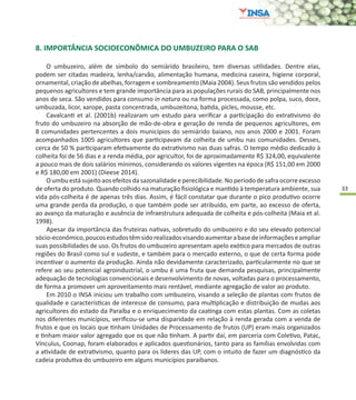 33
8. IMPORTÂNCIA SOCIOECONÔMICA DO UMBUZEIRO PARA O SAB
O umbuzeiro, além de símbolo do semiárido brasileiro, tem diversas utilidades. Dentre elas,
podem ser citadas madeira, lenha/carvão, alimentação humana, medicina caseira, higiene corporal,
ornamental, criação de abelhas, forragem e sombreamento (Maia 2004). Seus frutos são vendidos pelos
pequenos agricultores e tem grande importância para as populações rurais do SAB, principalmente nos
anos de seca. São vendidos para consumo in natura ou na forma processada, como polpa, suco, doce,
umbuzada, licor, xarope, pasta concentrada, umbuzeitona, batida, picles, mousse, etc.
Cavalcanti et al. (2001b) realizaram um estudo para verificar a participação do extrativismo do
fruto do umbuzeiro na absorção de mão-de-obra e geração de renda de pequenos agricultores, em
8 comunidades pertencentes a dois municípios do semiárido baiano, nos anos 2000 e 2001. Foram
acompanhados 1005 agricultores que participavam da colheita de umbu nas comunidades. Desses,
cerca de 50 % participaram efetivamente do extrativismo nas duas safras. O tempo médio dedicado à
colheita foi de 56 dias e a renda média, por agricultor, foi de aproximadamente R$ 324,00, equivalente
a pouco mais de dois salários mínimos, considerando os valores vigentes na época (R$ 151,00 em 2000
e R$ 180,00 em 2001) (Dieese 2014).
Oumbuestásujeitoaosefeitosdasazonalidadeeperecibilidade.Noperíododesafraocorreexcesso
de oferta do produto. Quando colhido na maturação fisiológica e mantido à temperatura ambiente, sua
vida pós-colheita é de apenas três dias. Assim, é fácil constatar que durante o pico produtivo ocorre
uma grande perda da produção, o que também pode ser atribuído, em parte, ao excesso de oferta,
ao avanço da maturação e ausência de infraestrutura adequada de colheita e pós-colheita (Maia et al.
1998).
Apesar da importância das fruteiras nativas, sobretudo do umbuzeiro e do seu elevado potencial
sócio-econômico,poucosestudostêmsidorealizadosvisandoaumentarabasedeinformaçõeseampliar
suas possibilidades de uso. Os frutos do umbuzeiro apresentam apelo exótico para mercados de outras
regiões do Brasil como sul e sudeste, e também para o mercado externo, o que de certa forma pode
incentivar o aumento da produção. Ainda não devidamente caracterizado, particularmente no que se
refere ao seu potencial agroindustrial, o umbu é uma fruta que demanda pesquisas, principalmente
adequação de tecnologias convencionais e desenvolvimento de novas, voltadas para o processamento,
de forma a promover um aproveitamento mais rentável, mediante agregação de valor ao produto.
Em 2010 o INSA iniciou um trabalho com umbuzeiro, visando a seleção de plantas com frutos de
qualidade e características de interesse de consumo, para multiplicação e distribuição de mudas aos
agricultores do estado da Paraíba e o enriquecimento da caatinga com estas plantas. Com as coletas
nos diferentes municípios, verificou-se uma disparidade em relação à renda gerada com a venda de
frutos e que os locais que tinham Unidades de Processamento de frutos (UP) eram mais organizados
e tinham maior valor agregado que os que não tinham. A partir daí, em parceria com Coletivo, Patac,
Vínculus, Coonap, foram elaborados e aplicados questionários, tanto para as famílias envolvidas com
a atividade de extrativismo, quanto para os lideres das UP, com o intuito de fazer um diagnóstico da
cadeia produtiva do umbuzeiro em alguns municípios paraibanos.
 