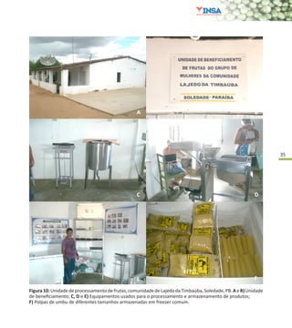 35
Figura10:Unidadedeprocessamentodefrutas,comunidadedeLajedodaTimbaúba,Soledade,PB.AeB)Unidade
de beneficiamento; C, D e E) Equipamentos usados para o processamento e armazenamento de produtos;
F) Polpas de umbu de diferentes tamanhos armazenadas em freezer comum.
 