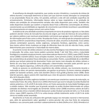 41
À semelhança da elevação respiratória, que conduz ao pico climatérico, o aumento da síntese de
etileno durante a maturação determina as taxas com que ocorrem muitas alterações na composição
e nas propriedades físicas do umbu. Em paralelo, estimam a vida útil sob condições específicas de
armazenamento. Entretanto, informações básicas sobre as taxas respiratórias e de produção de
etileno sob condições de armazenamento variadas não estão disponíveis para umbu. Também não
estão disponíveis estudos que avaliem a resposta desse fruto a diferentes concentrações de etileno,
caracterizando sua sensibilidade ao regulador de crescimento e permitindo reconhecer a possibilidade
de armazenamento em espaço comum com outros frutos.
A existência de uma atividade econômica importante em torno de produtos regionais e o fato deles
poderem atender nichos de mercado fora da área de origem, por meio do interesse de consumidores
por sabores exóticos e por eventuais propriedades nutricionais que agregam, tem melhorado o aporte
de informações para frutos como o umbu. Na polpa dos frutos, um vasto grupo de compostos químicos
que lhes conferem características importantes, inclusive de sabor, encontra-se dissolvido. Esses sólidos
solúveis contemplam açúcares, ácidos orgânicos, compostos fenólicos, pigmentos, entre outros.
Seus teores sofrem fortes mudanças ao longo de diferentes fases do ciclo de vida dos frutos, sendo
determinantes para caracterizar a maturidade da maioria deles.
O aumento no teor de sólidos solúveis é um dos eventos fisiológicos mais diretamente relacionados
à maturação. No umbu, esses teores podem aumentar desde 7 até 14,8 o
Brix, entre a maturidade
fisiológicaeocompletoamadurecimento,comoobservadoporNarainetal.(1992),Lopes(2007),Dantas
Júnior (2008) e Gondim (2012). Essas variações resultam, numa primeira análise, da desuniformidade
das características do produto fresco oferecido ao consumidor. Porém, a possibilidade de se identificar
plantas que tenham potencial de desenvolver frutos com teores mais elevados de sólidos solúveis e
dentro de uma faixa pré-definida como adequada a determinados mercados pode permitir que se
estime, com alguma segurança, a oferta de umbus com características superiores.
Sendo os açúcares os constituintes majoritários dos sólidos solúveis, seu incremento durante a
maturação se deve, em parcela representativa, aos ganhos no primeiro. Os teores máximos atingidos
podem ser bastante variáveis, como 3,81 (Gondim 2012) e 9,55 g/100 g (Dantas Júnior 2008). Deste
total de açúcares, alguns autores têm reportado que o teor de açúcares redutores representa apenas
40 a 50 % (Gondim 2012).
A degradação de ácidos orgânicos também é um evento que caracteriza o avanço da maturação, na
maioria dos frutos. No umbu, Narain et al. (1992) informaram que ocorre redução na acidez titulável de
valores próximos a 1,35 a 0,95 % de ácido cítrico, em frutos avançando da maturidade fisiológica para
o estádio maduro. Vale ressaltar que há grande variação na acidez titulável determinada em umbus
coletados de distintas microrregiões do Semiárido. Dantas Júnior (2008) encontrou valores de 0,69 a
2,04 % de ácido cítrico e Gondim (2012) destacaram acidez titulável variando de 0,65 a 1,1 % de ácido
cítrico. Lopes (2007) reportou 0,76 % no umbu-laranja colhido totalmente verde e 0,36 % de ácido
cítrico no estádio verde amarelado.
Atualmente os frutos do umbuzeiro têm ganhado espaço nos mercados nacional e internacional,
pois, além de apresentarem sabor agradável e aroma peculiar são uma boa fonte de compostos
bioativos e seu consumo pode contribuir substancialmente na dieta (Rufino et al. 2010; Almeida et al.
 