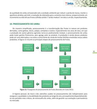 45
Figura 11: Fluxograma do processamento de frutas (Baseado em Costa 2011).
da qualidade do umbu armazenado sob a condição ambiente por reduzir a perda de massa, manter a
aparência atrativa, permitir a evolução da coloração para a amarela mais intensa, proporcionando um
incremento na vida útil aos frutos colhidos verde e “verde-maduro” em dois e um dia, respectivamente.
10. PROCESSAMENTO DO UMBU
De maneira simplificada, processamento é a transformação dos frutos in natura em produtos
derivados, como geleias, doces, polpas, compotas e outros. Especialmente nos anos de seca, em que
a produção de outros gêneros agrícolas torna-se praticamente inviável, o processamento do umbu
pode trazer ganhos financeiros, pois agrega valor ao produto. A produção e venda desses produtos
pode ser uma alternativa, e as vezes a única fonte de renda de muitas famílias envolvidas nessa cadeia
produtiva. A Figura 11 resume as principais etapas do processamento de frutas.
A higiene pessoal, do local e dos utensílios usados no processamento são indispensáveis para
assegurar a qualidade e a durabilidade dos produtos ao longo do ano, principalmente disponibilizando-
os nos períodos mais críticos, de entressafra do umbu, além de garantir sua aceitação e permanência
no mercado.
 