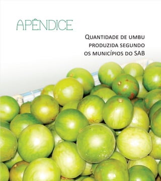 62
Quantidade de umbu
produzida segundo
os municípios do SAB
APENDICE
 