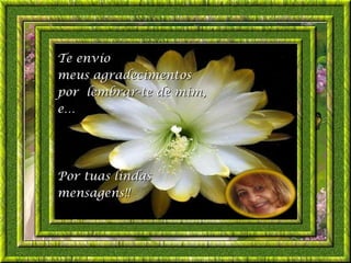 Te envío
meus agradecimentos
por lembrar-te de mim,
e…




Por tuas lindas
mensagens!!
 