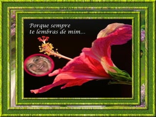 Porque sempre
te lembras de mím…
 