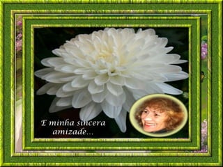 E minha sincera
  amizade…
 