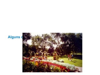 Alguns detalhes do ciclo de internação 