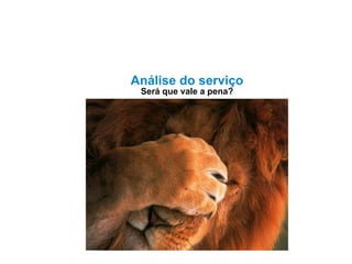 Análise do serviço Será que vale a pena? 