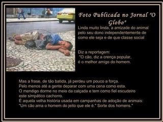 Foto Publicada no Jornal "O Globo" Linda muito linda, a amizade do animal pelo seu dono independentemente de  como ele seja e de que classe social Diz a reportagem: "O cão, diz a crença popular,  é o melhor amigo do homem.  Mas a frase, de tão batida, já perdeu um pouco a força.  Pelo menos até a gente deparar com uma cena como esta. O mendigo dorme no meio da calçada e tem como fiel escudeiro este simpático cachorro.  É aquela velha história usada em campanhas de adoção de animais: "Um cão ama o homem do jeito que ele é." Sorte dos homens." 