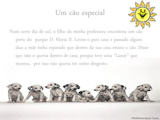 Um cão especial
Num certo dia de sol, o filho da minha professora encontrou um cão
  perto do parque D. Maria II. Levou-o para casa e passado alguns
  dias a mãe tinha reparado que dentro da sua casa estava o cão. Disse
  que não o queria dentro de casa, porque teve uma “Lassie” que
  morreu, por isso não queria ter outro desgosto.
 