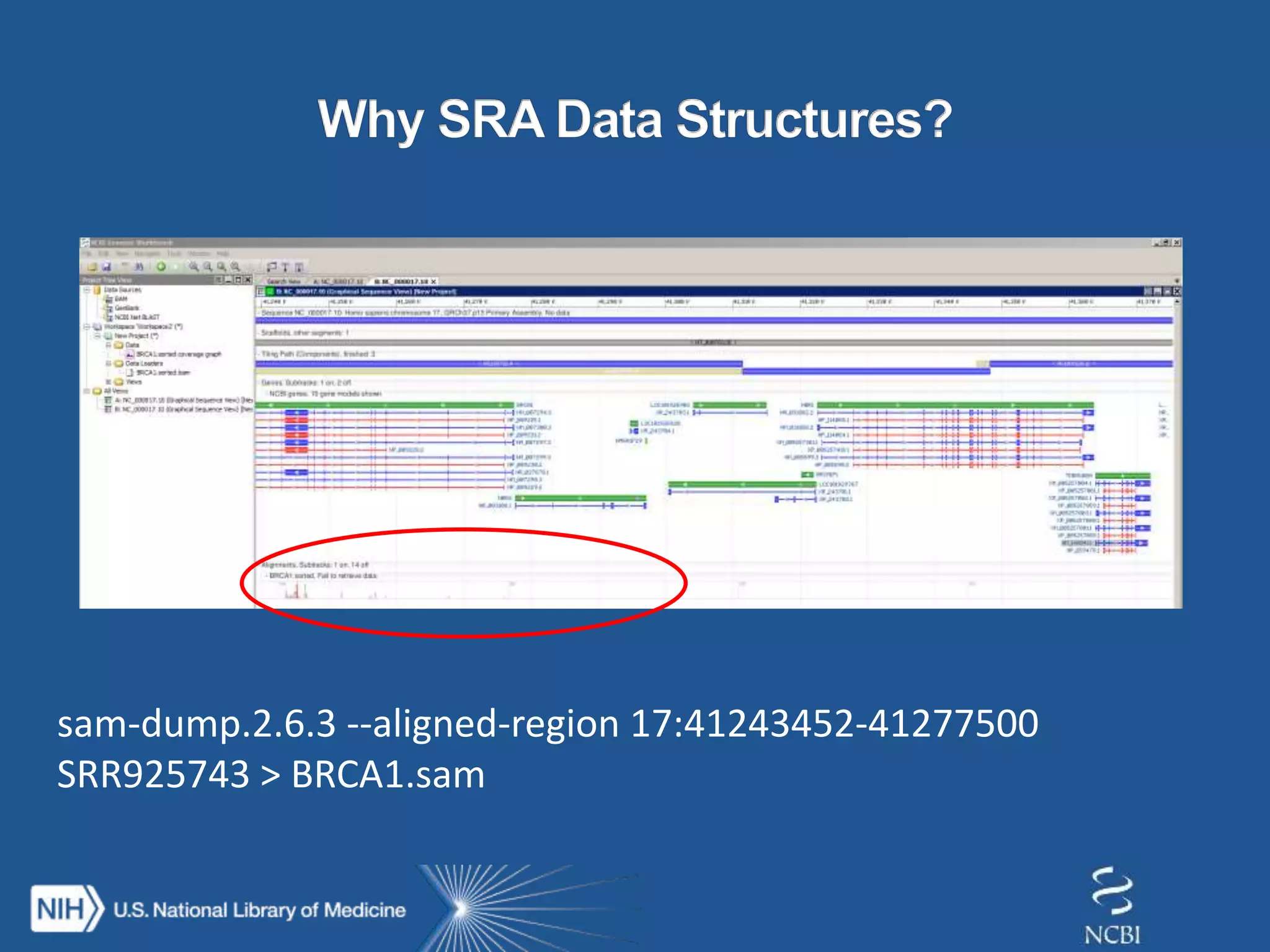 sam-dump.2.6.3 --aligned-region 17:41243452-41277500
SRR925743 > BRCA1.sam
 