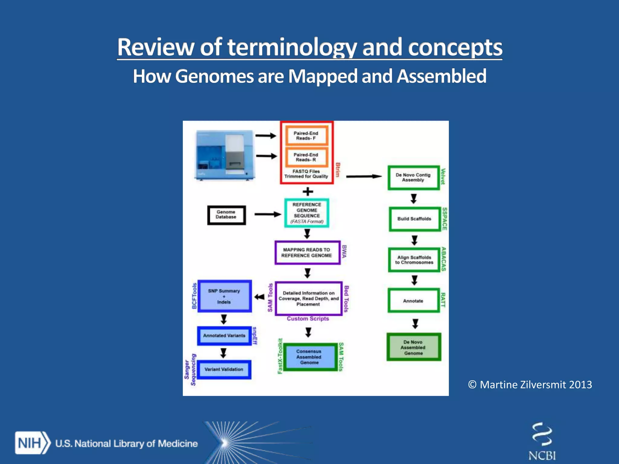 © Martine Zilversmit 2013
 