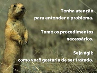 Tenha atenção
para entender o problema.

Tome os procedimentos
necessários.
Seja ágil:
como você gostaria de ser tratado.

 
