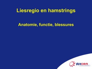 Liesregio en hamstrings

Anatomie, functie, blessures
 