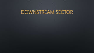 DOWNSTREAM SECTOR
 