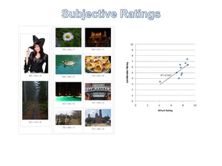   competing offerPicture Sorting