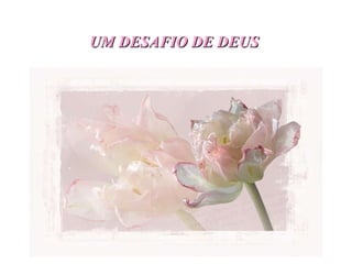 UM DESAFIO DE DEUS   