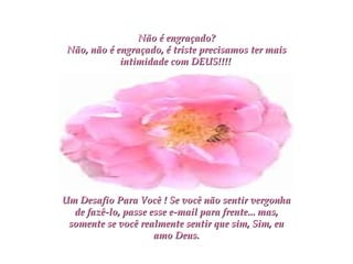 Não é engraçado? Não, não é engraçado, é triste precisamos ter mais intimidade com DEUS!!!!   Um Desafio Para Você ! Se você não sentir vergonha de fazê-lo, passe esse e-mail para frente... mas, somente se você realmente sentir que sim, Sim, eu amo Deus. 