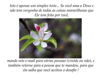 Isto é apenas um simples teste... Se você ama a Deus e não tem vergonha de todas as coisas maravilhosas que Ele tem feito por você, mande este e-mail para várias pessoas (cristãs ou não), e também retorne para a pessoa que te mandou, para que ela saiba que você aceitou o desafio ! 