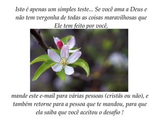 Isto é apenas um simples teste... Se você ama a Deus e não tem vergonha de todas as coisas maravilhosas que Ele tem feito por você, mande este e-mail para várias pessoas (cristãs ou não), e também retorne para a pessoa que te mandou, para que ela saiba que você aceitou o desafio ! 