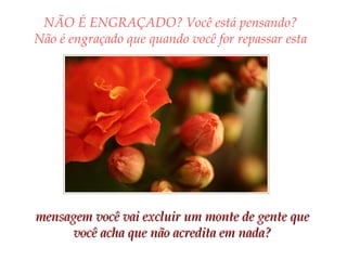 NÃO É ENGRAÇADO?   Você está pensando? Não é engraçado que quando você for repassar esta mensagem você vai excluir um monte de gente que você acha que não acredita em nada? 