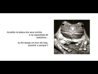 Acredite na beleza dos seus sonhos  e na capacidade de realizá-los... eu lhe desejo um bom dia hoje, amanhã  e sempre !! 