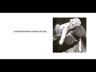 e profundamente cansado de tudo   