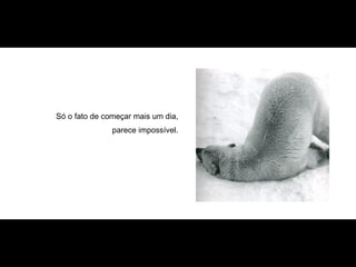 Só o fato de começar mais um dia,  parece impossível.   