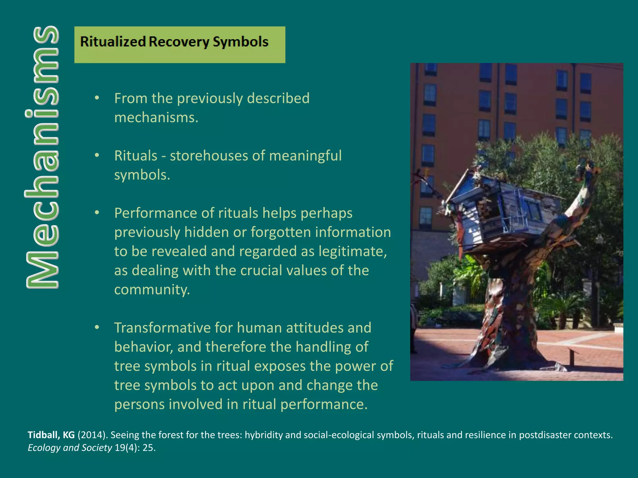 • From the previously described
mechanisms.
• Rituals - storehouses of meaningful
symbols.
• Performance of rituals helps perhaps
previously hidden or forgotten information
to be revealed and regarded as legitimate,
as dealing with the crucial values of the
community.
• Transformative for human attitudes and
behavior, and therefore the handling of
tree symbols in ritual exposes the power of
tree symbols to act upon and change the
persons involved in ritual performance.
Tidball, KG (2014). Seeing the forest for the trees: hybridity and social-ecological symbols, rituals and resilience in postdisaster contexts.
Ecology and Society 19(4): 25.
 