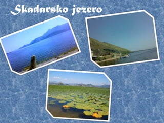 Skadarsko jezero

 