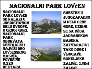 Nacionalni park Lovćen
Nacionalni
park Lovćen
se nalazi u
jugoistočnom
delu Evrope,
u Crnoj Gori.
Nacionalni
park
obuhvata
centralni i
najviši deo
lovćenskog
masiva,
površine
6.220
hektara.

smešten u
jugozapadno
m delu Crne
Gore, uzdiže
se sa ivica
jadranskog
basena,
zatvarajući
tako duge i
vijugave
bokeljske
zalive, čineći

 