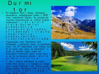 •

•

•

D u r mi
t o ri faune, složenosti
Po bogastvu flore

ekosustava, zastupljenosti preko 1 300
vrsta vaskularnih biljaka, što predstavlja
izuzetnu koncentraciju sa velikim brojem
endemičnih i r e l i k t n i h
v r s t a , D u r mi t o r
p r e d s t a v l j a
i z u z e t n u p r i r o d n u
v r i j e d n o s t i t r a j n u
i n s p i r a c i j u
z n a n s t v e n i k a i
l j u b i t e l j a p r i r o d e .
Vegetacijske zone Durmitora čine
listopadna i zimzelena šuma, te podalpska
zona. Od 37 endemskih vrsta biljaka šest
ih se može naći samo na Durmitoru. U
parku se takoĎer nalazi jedna od
posljednjih nedirnutih šuma crnog bora, i
to na tlu na kojemu obično r a s t e
g r mo v i t o b i l j e .
U Tari i njenim pritokama se nalazi
veliki broj lososa, a u šumama se mogu
naći: smeĎi medvjed, vuk, divlja svinja,
divlja mačka, divokoza, više v r s t a
o r l o v a , t e t r i j e b a i
j a r e b i c a .

 