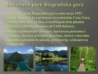 



Nacionalni park Biogradska gora osnovan je 1952.
godine. Smešten je u prostoru severoistočne Crne Gore,
između reka Tare i Lima, u središnjem delu planine
Bjelasice, zahvata površinu od 5.650 hektara.
Omeđen planinskim visovima, ispresecan potocima i
uvalama, ukrašen prelepim jezerima, okićen vekovnim
šumama i pitomim livadama, predstavlja veličanstven
dar prirode.

 