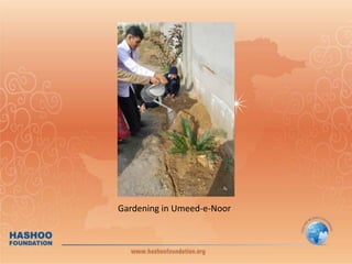                                 Gardening in Umeed-e-Noor