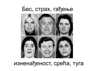 Бес, страх, гађење
изненађеност, срећа, туга
 
