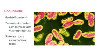 Coqueluche
Bordetella pertussis
Transmissão: contato
com secreções das
vias respiratórias;
Sintomas: tosse
espasmódica e
febre.
 