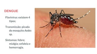 DENGUE
Flavivírus: existem 4
tipos;
Transmissão: picada
do mosquito Aedes
sp.
Sintomas: febre;
mialgia; cefaleia e
hemorragia.
 