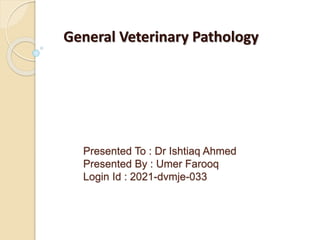 Presented To : Dr Ishtiaq Ahmed
Presented By : Umer Farooq
Login Id : 2021-dvmje-033
General Veterinary Pathology
 