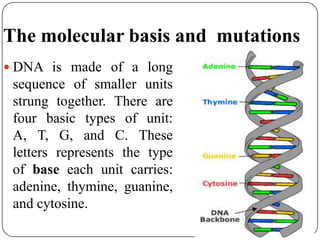 Dna Lettering Classification systematic | PPTX