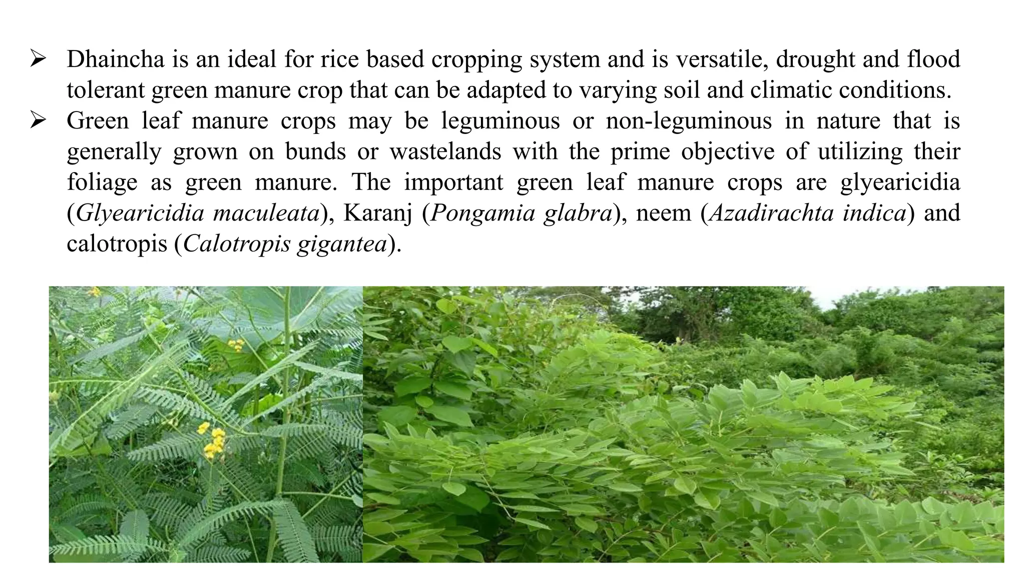 Role of organic inputs in maintaining soil health | PPTX