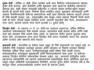 दुर्िल शेती : वावर्िक ५० सेंिी. ककिं वा त्यापेिा किी अशा ननस्श्चत पजिन्यिानाच्या प्रदेशात
दुजिल शेती करतात. ओल द्रटकववणे आणण भूसिंरिण अशा प्रकारच्या शेतीतील िहत्त्वाच्या
सिस्या होत. काही थोड्या पावसाळी िद्रहन्यािंत व त्यािंच्या थोड्या िागील-पुढील काळात
होणारी ही हिंगािी शेती असते. वपकािंची ननवड ियािद्रदत असते. भूसिंरिण करण्यासाठी आणण
ओलावा द्रटकववण्यासाठी शेतीच्या िशागतीच्या काही खास मशफारस क
े लेल्या पद्घती वापरुन
ही वपक
े काढली जातात. उदा., सिपातळीत बािंध घालून त्यािंना सिािंतर वपकािंची पेरणी करणे,
किी बी पेरणे, रोपािंची सिंख्या ियािद्रदत करणे, प्टापेर पद्घतीने पीक पेरणे, आच्छादनाचा
वापर करणे, खतािंचा िाफक वापर करणे इत्यादी. [→ दुजिल शेती].
जर्राईत शेती : या प्रकारात ५० ते १०० सेंिी.च्या आसपास असणाऱ्या, अर्धक ननस्श्चत
असलेल्या पजिन्यिानावर वपक
े काढली जातात. भारतातील काही भागािंत खरीप आणण रब्बी
अशा दोन हिंगािािंत वपक
े काढणे शक्य असते. या प्रकारच्या शेतीत खताचा िुबलक वापर
करता येतो. आच्छादनाचा वापर करुन स्जराईत शेती जास्त फायदेशीर करता येते. भारतात
अनेक राज्यािंत अशा प्रकारची शेती करतात.
बागायती शेती : वास्तववक हा शेतीचा प्रकार नसून ती वपक
े काढण्याची एक पद्घत आहे. या
शेतीतील वपक
े पावसावर अवलिंबून नसतात आणण म्हणूनच या वपकािंचे उत्पादन स्जराईत
वपकािंपेिा अर्धक स्स्थर असते. पाणीपुरवठ्यािुळे सबिंध वर्िभर वपक
े घेतली जातात.
साधनसािगीचा वापरसुद्घा िुबलकपणे आणण ककफायतशीरपणे क
े ला जातो. या शेतीच्या
सिस्या स्जराईत शेतीच्या सिस्यािंपेिा वेगळ्या आहेत. उदा., बागायती शेतीपुढील सवाांत
िहत्त्वाच्या सिस्यािंपैकी एक म्हणजे जलोत्सारणाने काळजीपूविक रीत्या अनतररक्त िृदा-जल
काढून टाक
ू न जमिनीची उत्पादनििता द्रटकववणे. याउलट दुजिल शेतीत पाण्याचा थेंब न् थेंब
वाचवून त्याचा उत्पादनवाढीसाठी उपयोग करणे ही सिस्या असते.
 