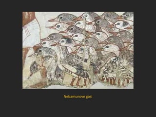 Nebamunove gosi
 