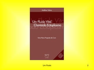 2Um Fluido
 