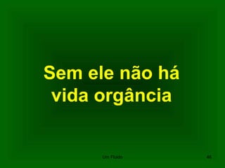 Sem ele não há
vida orgância
46Um Fluido
 