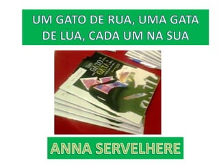 IEST - Um gato de rua, uma gata de