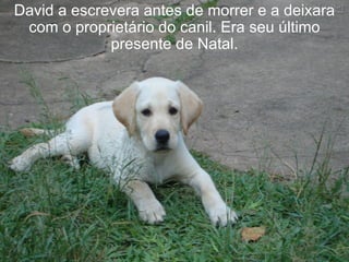 David a escrevera antes de morrer e a deixara
 com o proprietário do canil. Era seu último
             presente de Natal.
 