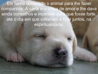 Ele havia comprado o animal para lhe fazer
companhia. A carta era cheia de amor e lhe dava
ainda conselhos e incentivo para que fosse forte,
   até o dia em que voltariam a ficar juntos, na
                 espiritualidade.
 