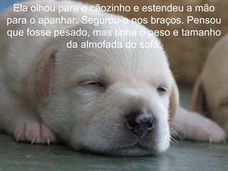 Ela olhou para o cãozinho e estendeu a mão
para o apanhar. Segurou-o nos braços. Pensou
que fosse pesado, mas tinha o peso e tamanho
            da almofada do sofá.
 