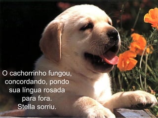O cachorrinho fungou,
concordando, pondo
  sua língua rosada
      para fora.
    Stella sorriu.
 